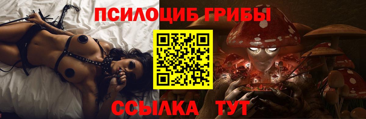 Псилоцибиновые грибы Psilocybe  Галлюциногенные грибы ЛСД  Полысаево  Вход с VPN 